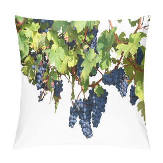 Personality  Vineyard Isolated On White Pillow Covers