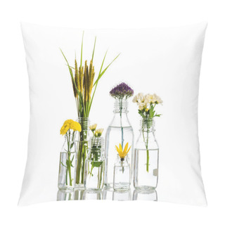 Personality  Glass Jars With Flowers And Plants Isolated On White, Alternative Medicine Concept Pillow Covers