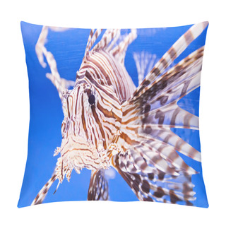Personality  Aquarium Fish Pillow Covers