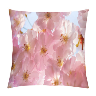 Personality  Blooming Cherry Branch, Nature's Delicate Beauty Captured In Full Bloom. Pillow Covers