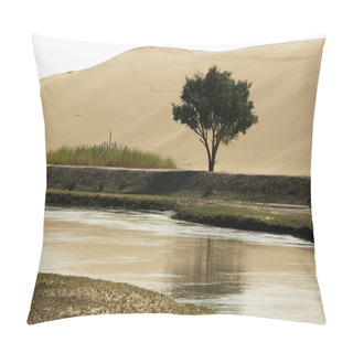 Personality  Landscape Of River And Sandhills With A Single Tree Pillow Covers