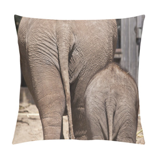 Personality  Elephant Ass Pillow Covers