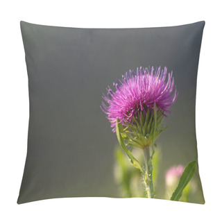 Personality  Pink Prickly Thistle Flower (Carduus) On A Natural Natural Background. The Poster. Pillow Covers