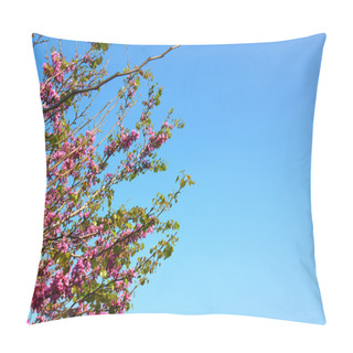 Personality  Image Of Spring Cherry Blossoms Tree. Abstract Background. Dreamy Concept Pillow Covers
