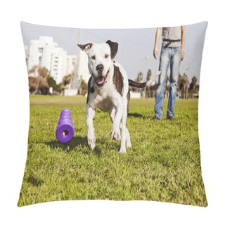 Personality  Pitbull Running After Dog Chew Toy Pillow Covers