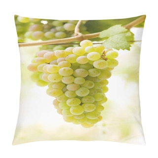 Personality  Bunch Of White Grapes Pillow Covers