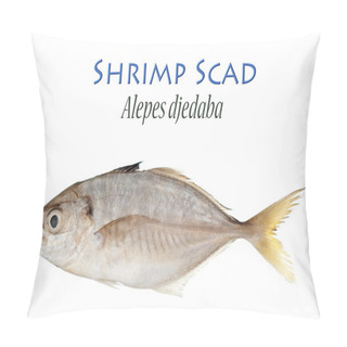 Personality  Shrimp Scad Pillow Covers