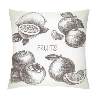 Personality  Hand Drawn Sketch Fruits Set. Pillow Covers
