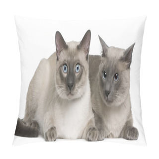 Personality  Siamese Cat, 3 Years Old And 8 Months Old, Lying In Front Of White Background Pillow Covers