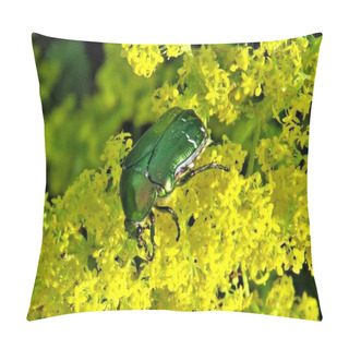 Personality  Cetonia Aurata Bug On A Flower Pillow Covers