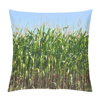 Personality  Corn Field Pillow Covers