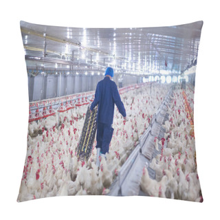 Personality  Poultry Farm With Chicken. Husbandry, Housing Business For The Purpose Of Farming Meat, White Chicken Farming Feed In Indoor Housing. Live Chicken For Meat And Egg Production Inside A Storage. Pillow Covers