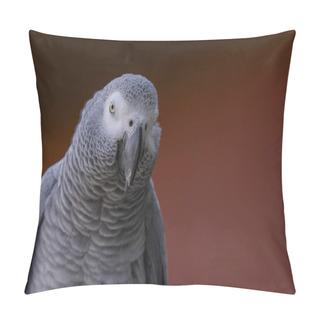 Personality  Portrait Of A Pigeon In Profile On A Green Background. Diamond Dove (Geopelia Cuneata). Pillow Covers