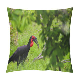 Personality  A Black Bird With A Red Beak Is Standing In The Green Grass, Showcasing Its Distinctive Coloring Amidst The Vegetation. Pillow Covers