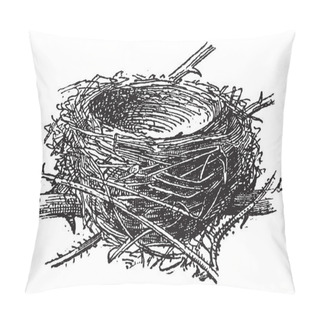Personality  Nest Of The Blackcap Or Sylvia Atricapilla, Vintage Engraving Pillow Covers