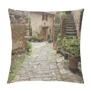 Personality  Beautiful Tuscan Courtyard Pillow Covers