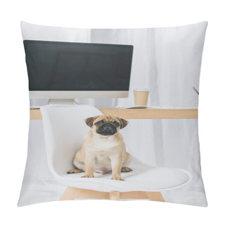 Personality  Dog Pillow Covers