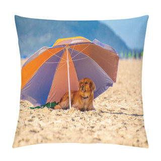 Personality  Dog Rest On The Shade Underneath An Beach Umbrella In Florianopolis Brazil Pillow Covers