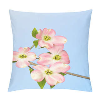 Personality  Pink And Cream Dogwood Flower Against Blue Pillow Covers