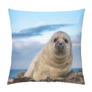 Personality  Young Puppy Seal Pillow Covers