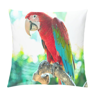 Personality  Portrait Colorful Macaw Parrot On A Branch. This Is A Bird That Is Domesticated And Raised In The Home As A Friend Pillow Covers