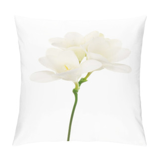 Personality  Beautiful Freesia Isolated On White Pillow Covers