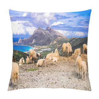 Personality  Traditional Greece Series.  Landscapes Of Crete Island With Sheeps Pillow Covers