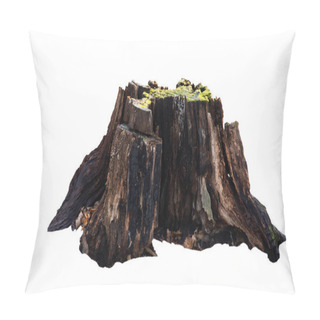 Personality  Old Tree Stump With Moss Isolated On White Pillow Covers