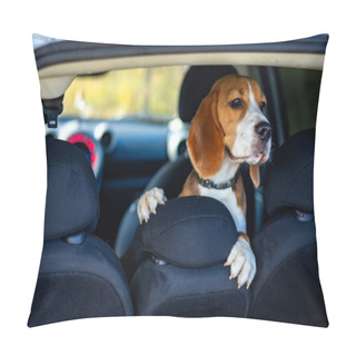 Personality  Beagle Puppy In The Car Peeking Out In The Trunk. Pillow Covers