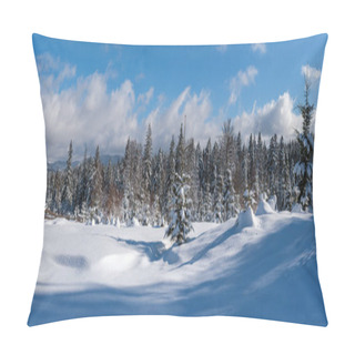 Personality  Winter Remote Alpine Village Outskirts, Snow Drifts On Mountain Fir Forest Edge. Tourist Backpack On A Freshly Trodden Hiking Trail Path. High Resolution Panorama. Pillow Covers