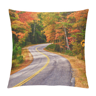 Personality  Winding Autumn Road Pillow Covers
