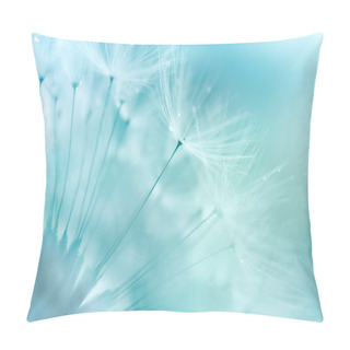 Personality  Dandelion Closeup Pillow Covers