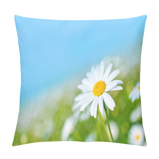 Personality  Camomille Field And Blue Sky Pillow Covers