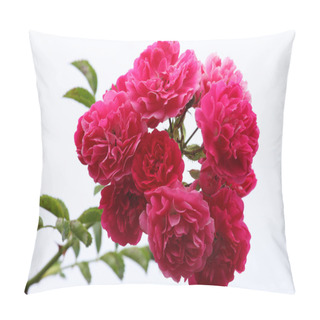 Personality  Spray Of Pink Roses Pillow Covers