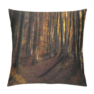 Personality  Autumn Light In Forest Pillow Covers