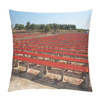 Personality  Dried Red Ripe Tomatoes Pillow Covers
