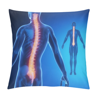 Personality  SPINE Bones Anatomy Scan Pillow Covers