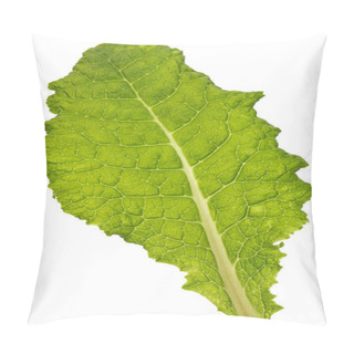 Personality  Green Leaves Of Primrose Flower, Isolated On White Background Pillow Covers