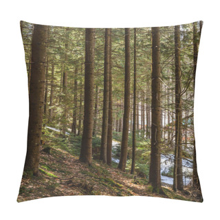 Personality  Snow On Hill In Coniferous Forest In Spring  Pillow Covers