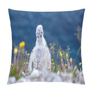 Personality  Nestling Glaucous Gulls Looking Off Cliff In Barents Sea. Novaya Zemlya Archipelago Pillow Covers