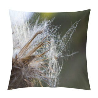 Personality  Autumn Background - Close-up Of A Boar Thistle. Pillow Covers