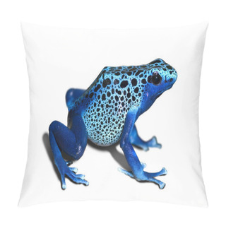 Personality  Poison Frog Pillow Covers