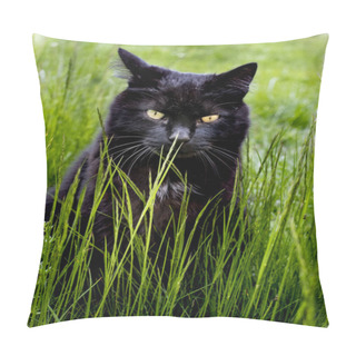 Personality  Black Cat Relaxing In The Grass Pillow Covers