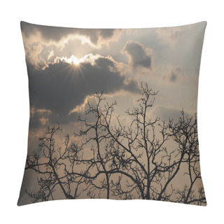 Personality  Radiant Sun, Heavy Clouds, Tree Pillow Covers