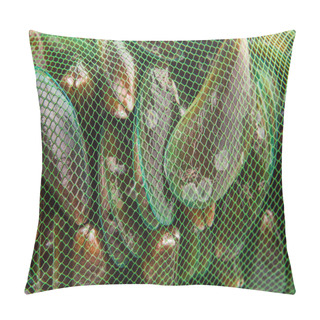Personality  Saltwater Mussels Pillow Covers
