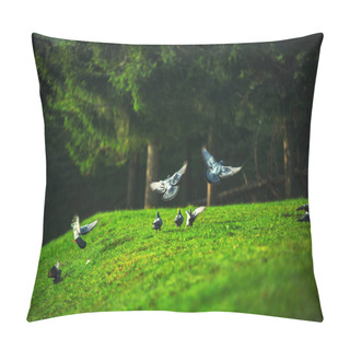 Personality  Pigeon Flying Over The Green Field In The Mountain. Pillow Covers