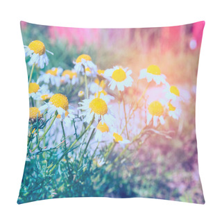 Personality  Garden With Daisies Flowers Pillow Covers