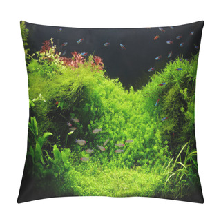 Personality  A Beautiful Planted Tropical Freshwater Aquarium With Bright Blue Neons And Rummy Nosed Tetra Fishes Pillow Covers