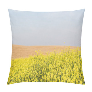 Personality  Panoramic Orientation Of Yellow Flowers Blooming Near Golden Rye Field  Pillow Covers