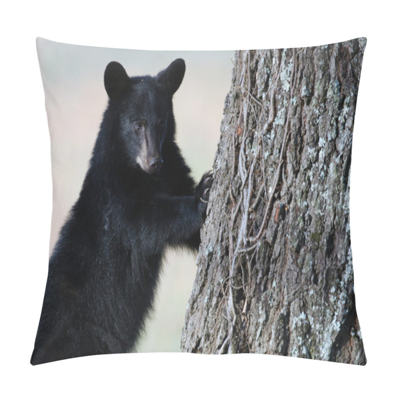 Personality  American black bear cub pillow covers